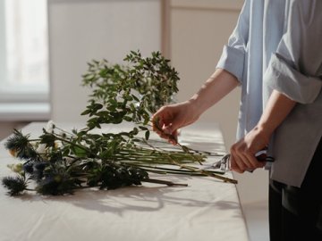 德國(guó)包裝法注冊(cè)全流程：2025年新指南