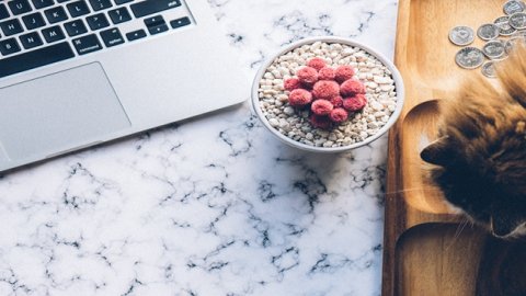 天貓國際服務商入駐條件與運營資質要求