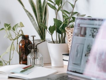 寧波企業(yè)注冊(cè)美國(guó)公司需注意的要點(diǎn)有哪些？